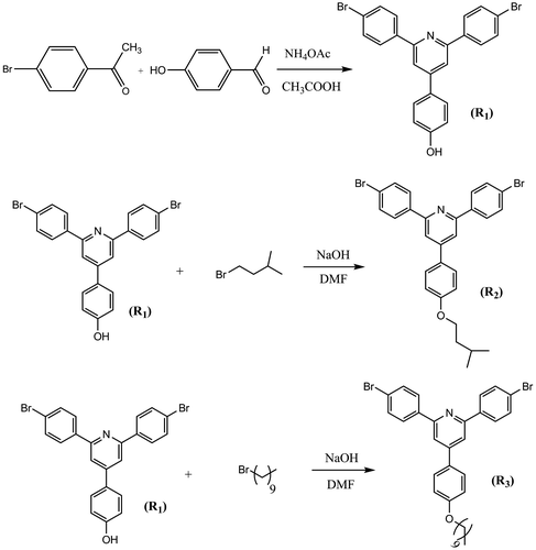 Scheme 1 Monomers synthesis.