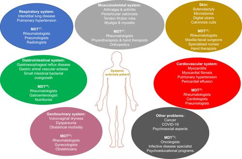 Figure 1 Different clinical domains of systemic sclerosis and a suggested multidisciplinary approach.