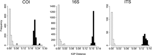 Figure 3. K2P distance ranges observed in the three markers examined for A. assimilis. White: distances between individuals sampled in the same habitat type; Gray: distances between brackish–water and marine shallow individuals; Black: distances between deep and shallow–water individuals.