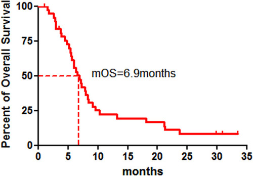 Figure 3 Kaplan–Meier graph for the overall survival (OS) of patients in the study (n = 38).