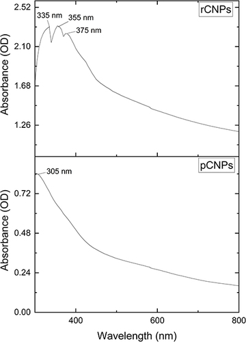 Figure 1 UV–Vis analysis of the rCNPs and pCNPs.
