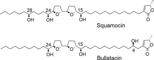 Figure 1 Structures of squamocin and bullatacin.
