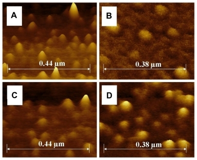 Figure 3 Atomic force microscopy profile images of the unloaded and DNA-loaded pHEMA nanoparticles with spherical particle morphology. (A) Unloaded pHEMA nanoparticles at low magnification and (B) at high magnification; and (C) DNA-loaded nanoparticles of pHEMA at low magnification and (D) at a higher magnification.Abbreviations: DNA, deoxyribonucleic acid; pHEMA, poly (2-hydroxyethyl methacrylate).