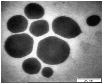 Figure 11 Transmission electron micrograph of Phyllanthus urinaria extract-loaded palm kernel oil esters-based nanoemulsion on formulation F36.