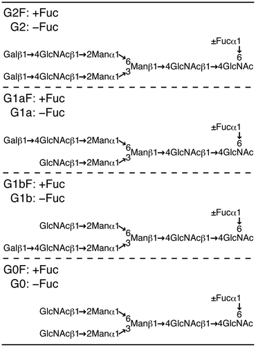 Fig. 1. Structures of bi-antennary complex-type glycans defined in the present study. Anti-HER2 mAbs contain core-fucosylated N-glycans with two galactose residues (G2F), one galactose residue on the Manα1→6Man arm (G1aF), one galactose residue on the Manα1→3Man arm (G1bF) or no galactose residue (G0F); and non-core-fucosylated N-glycans with two galactose residues (G2), one galactose residue on the Manα1→6Man arm (G1a), one galactose residue on the Manα1→3Man arm (G1b) or no galactose residue (G0). +Fuc, core-fucosylated and –Fuc, non-core-fucosylated.