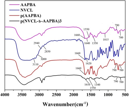Figure 1 FT-IR spectra of NVCL, AAPBA, pAAPBA, and p(AAPBA-b-NVCL)3.