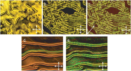 Figure 5. (Colour online) Photomicrographs (100×, crossed polarisers) of (a) the schlieren texture of the nematic phase of 11 at 180°C, (b) various optical textures of the NTB phase at 75.8°C, (c) the same region with a ¼ waveplate inserted, (d) the schlieren texture of the nematic phase of 13 confined in a 9 μm cell with surfaces treated for homeotropic alignment and (e) the same region of 13 cooled into the NTB phase at 121°C.