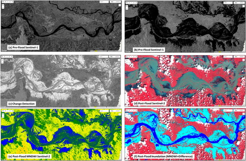 Figure 3. GEE based (a) filtered mosaic of Sentinel-1 pre-flood, (b) during flood (flooded areas with darker tone), (c) ratio image (inundated areas with brighter tone) (d) cloud free during flood Sentinel-2 image, (e)classified flood water (dark blue) using NDWI and (f) validation with Sentinel derived approach (cyan colour). Source: Author.