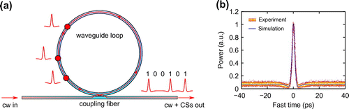 Figure 1. (a) Schematic illustration of temporal cavity solitons circulating in a Kerr nonlinear optical ring resonator driven with a continuous wave (cw) laser. (b) Temporal intensity profile of a 2.6 ps cavity soliton persisting in a fiber ring resonator, measured with a sub-picosecond resolution optical sampling oscilloscope. The blue solid line shows corresponding results from LLE simulations. (a) and (b) were adapted from [Citation31] and [Citation47], respectively.