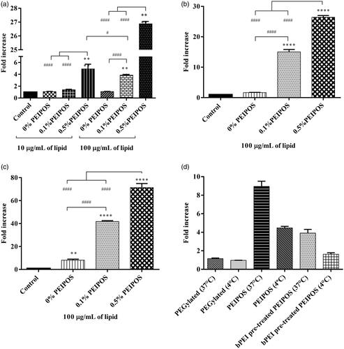 Figure 2. Cellular association of coated and noncoated PEIPOS with monolayers of three different cancer cell lines; (a) HeLa, (b) A2780-ADR, and (c) SKOV-3TR. Lipid concentration used for each cell line is indicated below each graph and incubation time was 4h. Control groups are nontreated cells. * indicates difference from control, whereas # indicates differences within the groups. Mean ± SD, n = 3, **p < .001, ****p < .0001. One-way ANOVA with Tukey’s multiple comparisons test. (d) Mode of internalization by A2780-ADR cells by flow cytometry. Lipid concentration was 100 µg/mL and incubation time was 90 min. PEGylated liposomes were modified with 3 mol% PEG2000-PE. Results are given as the fold-increase over the nonfluorescently labeled control formulations.