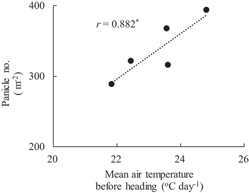 Figure 2. Relationship between mean air temperature before heading and panicle number of Oonari. *p< 0.05.