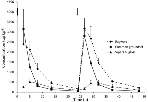 Figure 3. Total PA concentrations in urine of dairy cows at days 3 and 4. Animals were treated in the morning on days 1, 2, 3 and 4 (relevant time points of administration are indicated with arrows) with 200 g of ragwort mixture, common groundsel or viper’s bugloss. Average ± SD of three cows