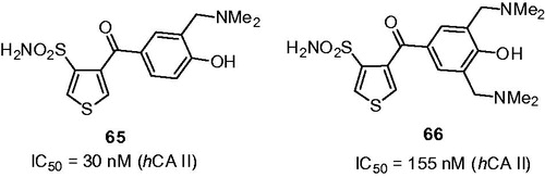 Figure 11. Mannich adducts reported by Chow et alCitation42.