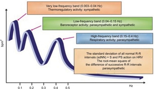 Figure 2 Spectral analysis of HRV.