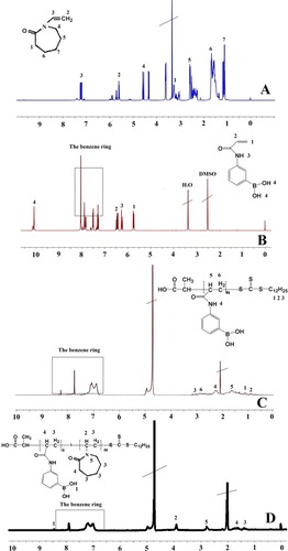 Figure 2 1H-NMR spectra of (A) NVCL, (B) AAPBA, (C) pAAPBA, and (D) p(AAPBA-b-NVCL)3.