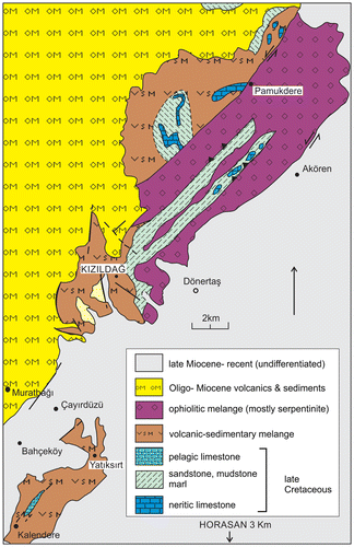 Figure 6. Outline tectonic map of the area north of Horasan, Kars Region. Two contrasting types of melange are exposed. First, volcanic-sedimentary melange, with exotic blocks (e.g. limestone; volcanics), set in a sedimentary matrix and, secondly, ophiolitic melange made up of dismembered ophiolitic rocks. There are also dismembered sequences of Upper Cretaceous mixed carbonate-volcaniclastic sediments that are interpreted as part of the emplaced Eurasian continental margin (see Figure 3 for location; compiled from Konak and Sümengen (Citation2009) and this study).