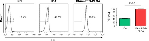 Figure 6 mPEG-PLGA enhances the cellular uptake of IDA.Notes: PE fluorescence by IDA was measured by flow cytometry in HL-60, which were treated with 0.1 µM IDA or 0.1 µM IDA/mPEG-PLGA NPs for 6 hours. Shown is the representative plots (left) and summary of PE+ cells (right).Abbreviations: IDA, idarubicin; mPEG-PLGA, methoxy poly(ethylene glycol)-b-poly(l-lactide-co-glycolide); NPs, nanoparticles; PE, phycoerythrin.