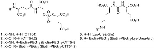 Figure 1. Structures of known GCPII inhibitors and biotinylated analogs.