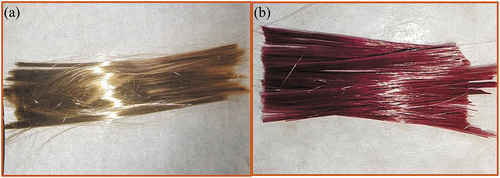 Figure 1. Photographs of the fibrous bundle of raw BFs (a) and composite fibers PVA-SS- PS-RhB/BF (b).