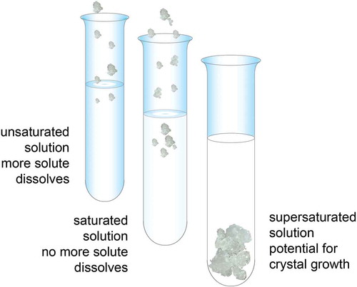Figure 4. Solubility of a substance (a solute) is the amount of that substance that will dissolve in a given amount of solvent; or it is a measure of how well one substance dissolves into another. A solute can fully dissolve in a solution that has less than the maximum amount of solute that can be dissolved. A saturated solution contains as much solute as it possibly can dissolve. A supersaturated solution contains more solute than can be dissolved, increasing the potential for crystal formation.