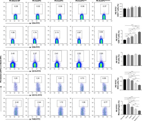 Figure 6 EaAPCPEG/CD47 significantly reduced cellular uptake by phagocytes and increased contacts with CD8+ T cells in vivo. Spleens were collected from melanoma mice at 6 hours after i.v. injection of PE-labeled aAPCs or Blank-NPs. Then the single-cell suspensions were prepared and stained with FITC-labeled mAbs specific for CD4+ T cells, CD8+ T cells, B cells, DCs, and macrophages and followed by quantitative analyses of flow cytometry. The number in top quadrant represents the percentage of PE+/FITC+ signals (presumably aAPC-T-cell conjugates or phagocytes intaking aAPCs) in the spleen cell suspension. Significant differences across groups were statistically analyzed. n=3 in each treatment group. *P<0.05, **P<0.01, ***P<0.001, ****P<0.0001.Abbreviations: DC, dendritic cell; SaAPC, nanospherical aAPCs; EaAPC, nanoellipsoidal aAPC; EaAPCPEG, PEGylated nanoellipsoidal aAPC; NP, nanoparticle; aAPC, artificial antigen-presenting cell; i.v., intravenous; EaAPCPEG/CD47, PEGylated and CD47-conjugated nanoellipsoidal aAPCs.