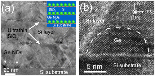 Figure 13. Cross-sectional HRTEM image of Si films containing Ge NDs (stacking structure of Ge NDs/Si) formed by ultrathin SiO2 film technique (a) and high magnification image near the interface (b). The inset in (a) is a schematic of Si films containing Ge NDs. Reprinted (adapted) with permission from Yamasaka et al. [Citation7]. © 2015 Springer Nature.