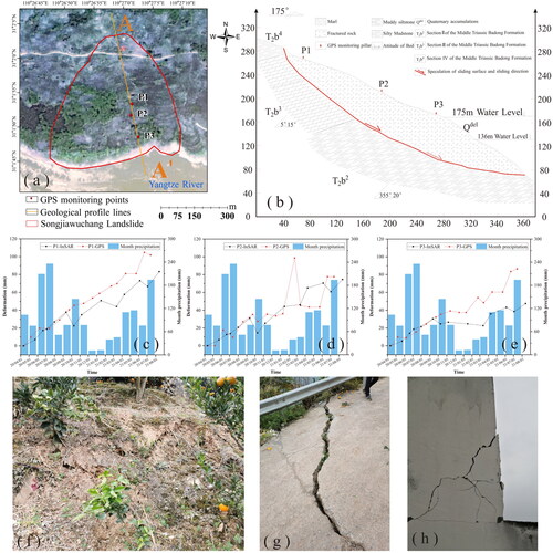 Figure 11. Songjiawuchang landslide deformation analysis figures. (a) The map of the whole landslide and the indication of the location of the A–A′ profile line; (b) the map of the Songjiawuchang landslide profile; (c–e) combined maps of GPS, InSAR, and rainfall; (f–h) geological investigation site maps.