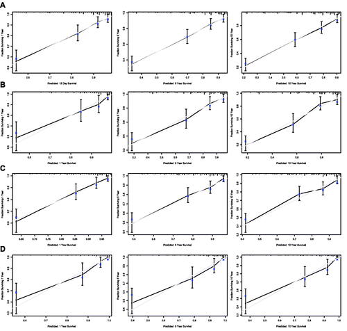 Figure 8. Calibration curves of the nomogram for 1-,5-, and 10-year overall survival of all patients in training set (A) and validation set (B), and calibration curves of the nomogram for 1-,5-, and 10-year disease-specific survival of all patients in training set (C) and validation set (D).