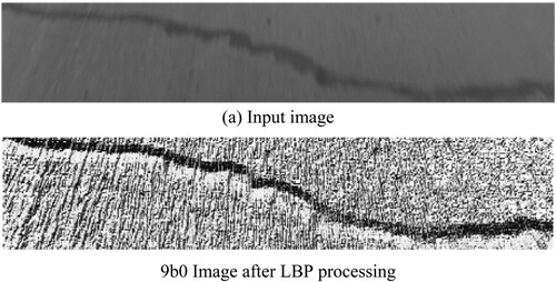 Figure 7. Comparison between original image and LBP image.