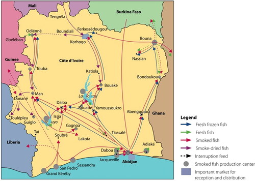 Figure 4. Movements of fish catch and imports within Côte d’Ivoire. Source: Worldfish, used with permission.