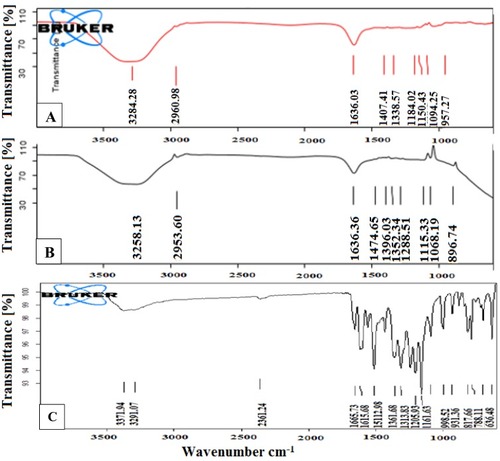 Figure 3 The Fourier transform infrared spectroscopy of (A) LA-Q-ORMOSIL (B) Q-ORMOSIL and (C) quercetin.