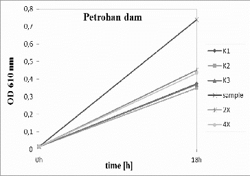 Figure 4. Pseudomonas putida growth inhibition tests for Petrohan dam. K1, K2, K3 – triplicate tests for the control; sample – undiluted water; 2× – water diluted twofold; and 4× – water diluted fourfold.