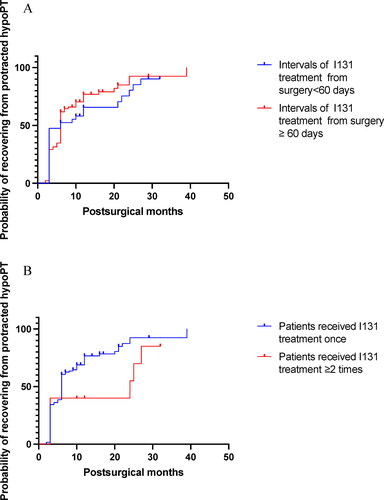 Figure 3. Time to recovery of parathyroid function (RPF) in patients with protected hypoPT who received 131I treatment. (A) RPF in patients with intervals of 131I treatment <60 days and ≥ 60 days (p = 0.40). (B) RPF in patients treated with 131I once vs. ≥2 times (p = 0.08). The horizontal axis is in the logarithmic scale (months); hypoPT: hypoparathyroidism; p-values are from the log-rank (Mantel-Cox) test.