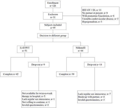 Figure 2 Study and treatment flow chart.