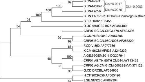 Figure 2 Gene evolution analysis of patients.