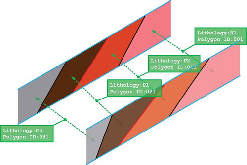 Figure 4. The corresponding relationships of stratum polygons in adjacent cross sections.