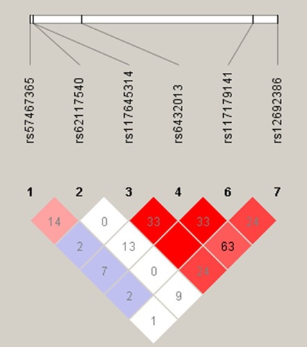 Figure 1 Relative positions and linkage disequilibrium (LD) estimates in ADAM17 polymorphisms in the analyzed population.