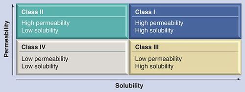 Figure 1. Biopharmaceutics Classification System.