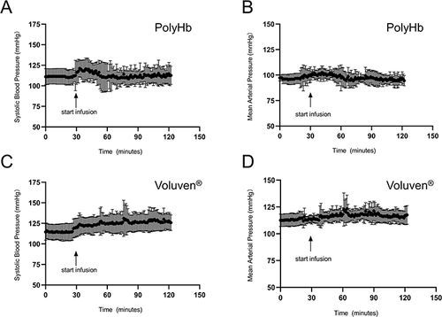 Figure 8 Blood pressure response of PolyHb and Voluven® in mice (n = 6). Systolic blood pressure (A) and mean arterial pressure (B) of PolyHb. Systolic blood pressure (C) and mean arterial pressure (D) of Voluven®. Values are mean ± SD.