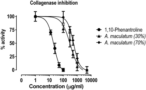 Figure 2. Inhibition of collagenase activity by A. maculatum extracts.