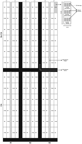 Figure 1. Schedule of the field experiment. Cropped conditions: CA: wheat-cropped area; NoCA: Natural grassland area. Cropping system: RT: Reduced tillage, CT: Conventional tillage. Doses of fertilization: N0: without fertilization; N160: 160 kg of Nitrogen ha−1.
