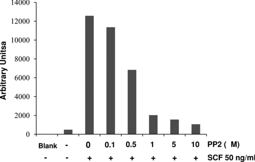 FIG. 6 Protein tyrosine kinase inhibitor PP2 inhibits SCF-induced Egr-1 activation. BMMCs were pretreated with various concentrations of PP2 (0.1, 0.5, 5, or 10 μ M) for 1 hr. Then cells were stimulated with SCF (50 ng/ml) for 2 hr. Nuclear proteins were isolated and subjected to EMSA for Egr-1 binding. Data were analyzed by densitometry.