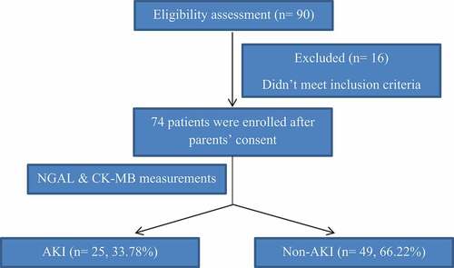 Figure 1. Flow chart of patients