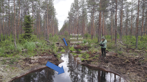 Figure 2. Old drainage area in central Finland. Ditches have been recently cleaned. There is a sedimentation pond constructed to trap suspended solids and reduce their outflow to watercourses. Photo: L. Finér.