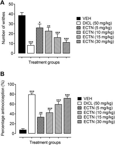 Figure 1 Antinociceptive effect of ERCN and DICL in the acetic acid-induced abdominal constriction test. Effect of eriocitrin on number of abdominal constrictions (A), and percentage nociception inhibition (B). Each column represents the mean number of writhes or percentage antinociception±SEM. *P<0.05, **P<0.01, ***P<0.001 as compared to the VEH administered group, one-way ANOVA followed by Dunnett’s post hoc test, n=6 mice per group.Abbreviations: DICL, diclofenac; ERCN, eriocitrin; VEH, vehicle.
