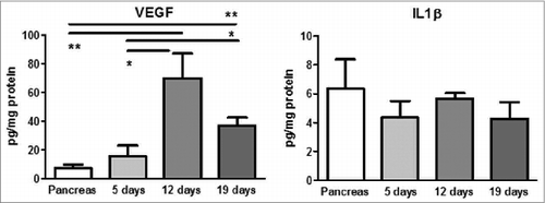 Figure 1. Chronic inflammatory milieu in orthotopic Panc02 tumors. VEGF and IL-1β concentrations were measured in orthotopic Panc02 tumors at different time points of tumor development by the LUMINEX assay and expressed as pg/mg protein, n = 4, *p < 0.05, **p < 0.01 and ***p < 0.001.