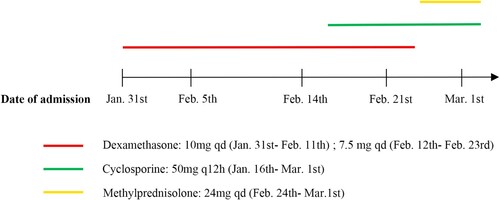 Figure 1. Timeline of the therapeutic intervention.