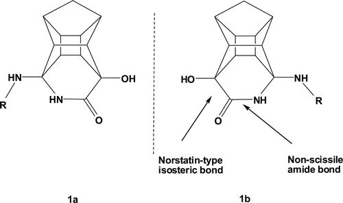 Figure 1.  Structure of non-cleavable PCU-lactam peptides with a norstatin type isostere. The PCU-lactam is synthesized as a racemate 7–9 (R = peptide).