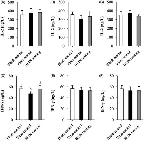 Figure 5. Influence of BLIN on IL-2 and IFN-γ secretion. After treatment with DHAV-1 for (A,D) 4, (B,E) 8 or (C,F) 54 h, the blood of ducklings in the blank control, virus control and BLIN treatment groups (five samples per group) was collected. The serum was separated, then IL-2 (A–C) and IFN-γ (D–F) levels were determined by an ELISA kit. Statistical analyses were performed using Duncan’s multiple range tests.