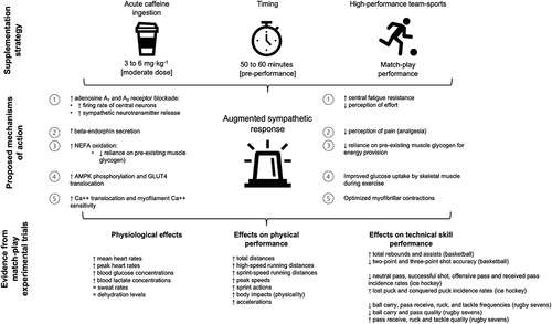 Figure 3. Schematic to summarise the evidence included in this systematic literature review on the effects of acute caffeine ingestion on physiological, physical and technical-skill performance outcomes during live intermittent team-sport match-play.